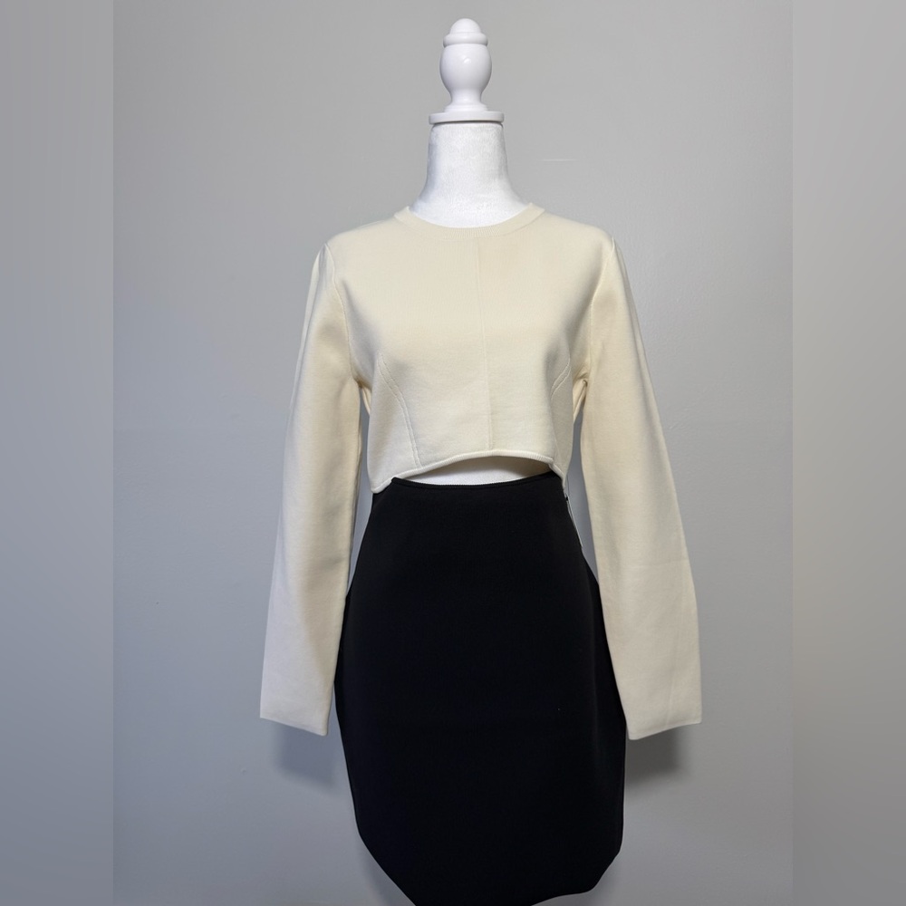 LARGE - EXPRESS Body Contour Color Block Cutout Mini Dress (Cream/Black)